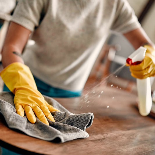 Standard Home Cleaning
